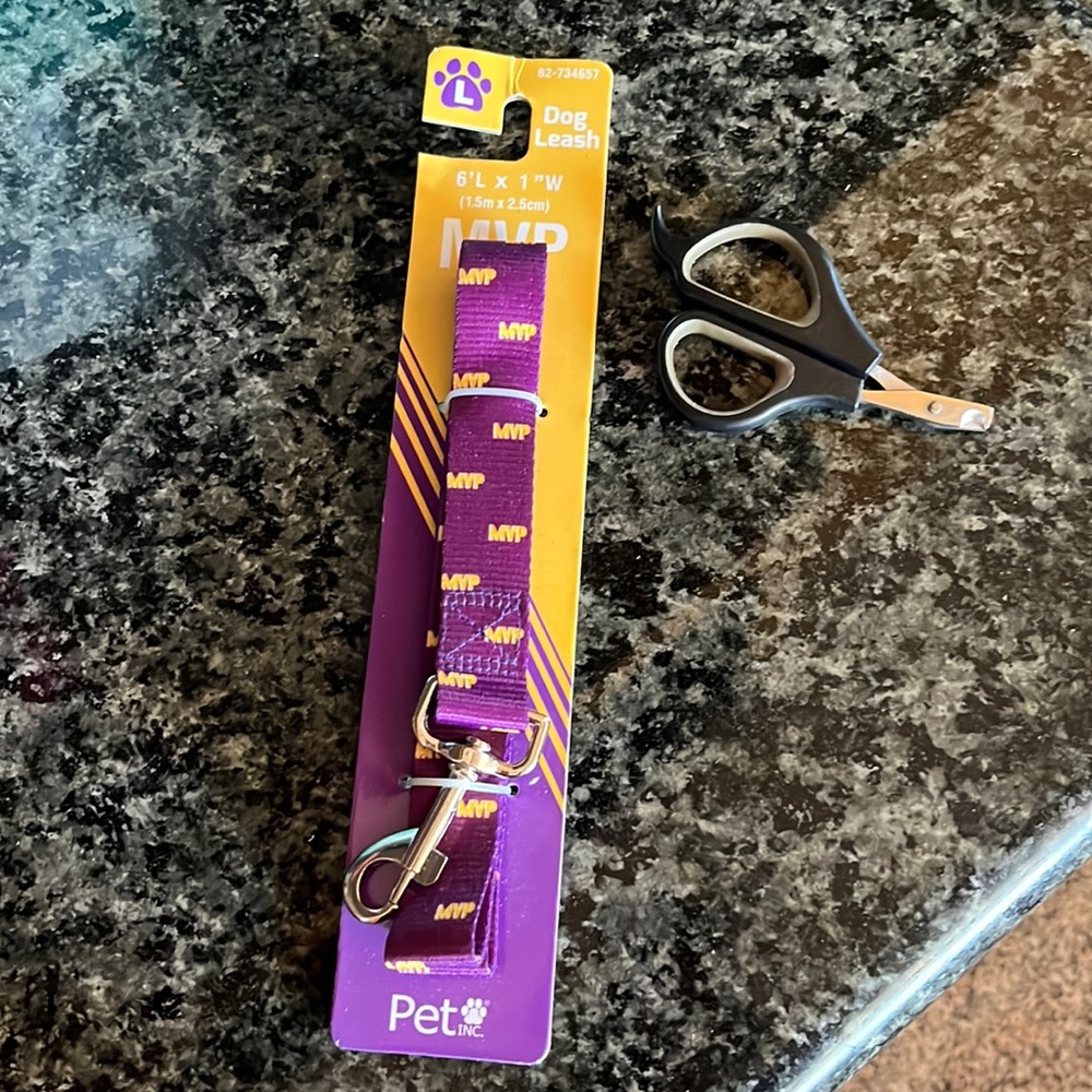 New Dog leash purple and yellow